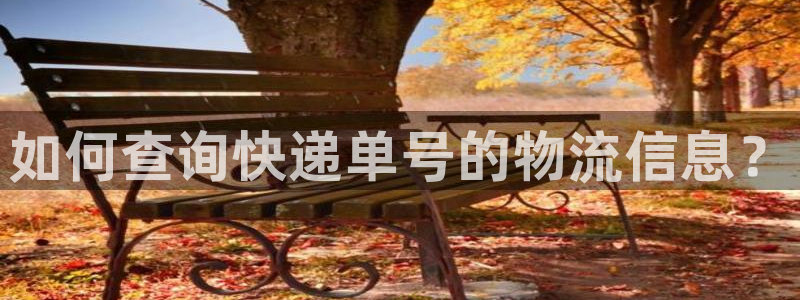 旺财28官网下载谁有：如何查询快递单