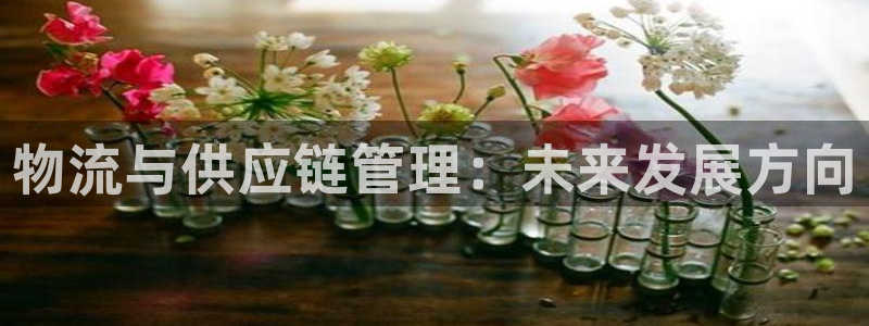 旺财28官网入口pc29官网版下载
