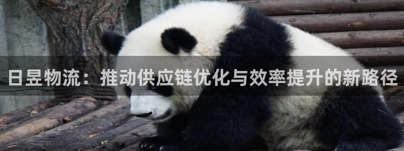 旺财28注册链接教程：日昱物流：推动