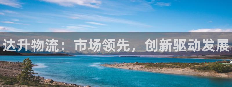 旺财28登录流程：达升物流：市场领先，创新驱动发展