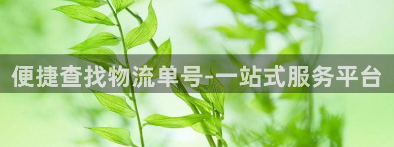 旺财28官网平台：便捷查找物流单号-