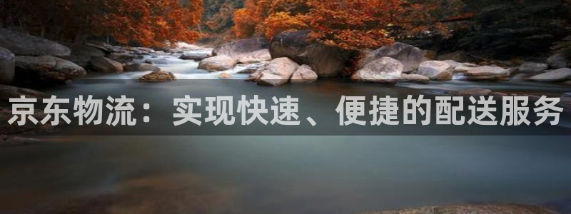 旺财28app怎么注册账号：京东物流