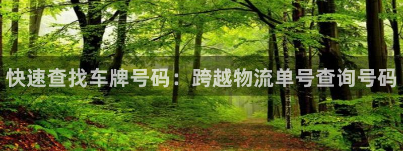 自行车旺财28是什么意思：快速查找车