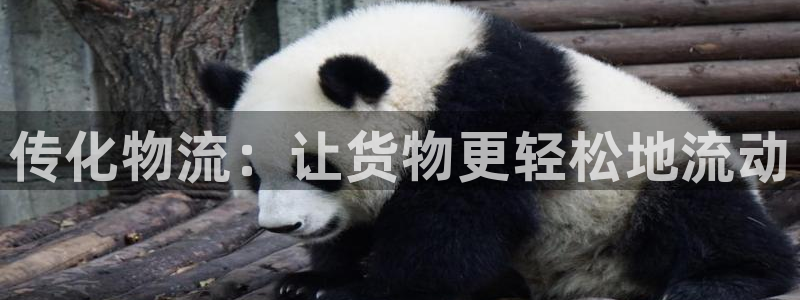 旺财28官网下载谁有：传化物流：让货