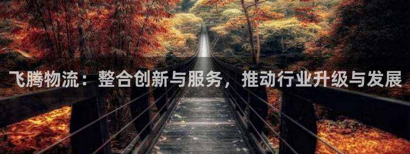旺财28人工客服电话是什么：飞腾物流：整合创新与服务，推动行