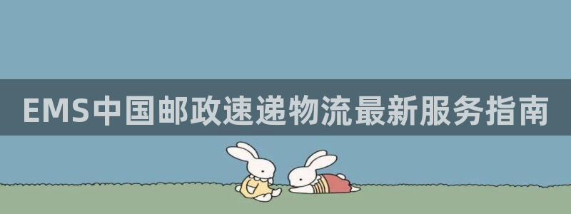 旺财28链接：EMS中国邮政速递物流