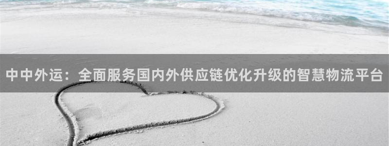 旺财28登录网：中中外运：全面服务国