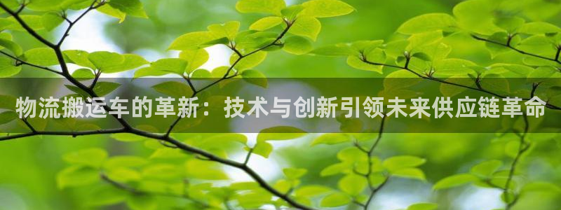 旺财28官网多少:物流搬运车的革新: