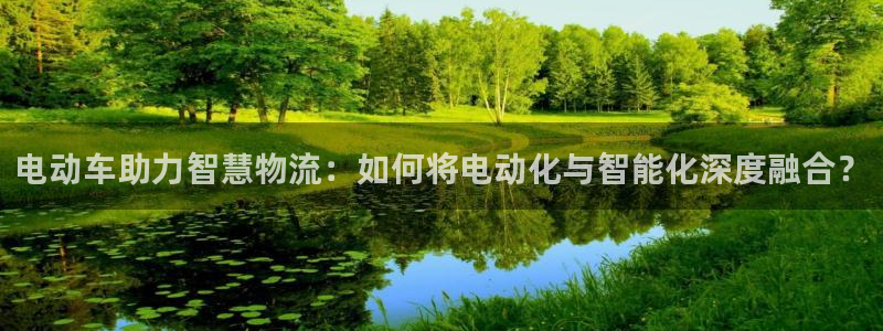 旺财28注册上限是啥意思：电动车助力智慧物流：如何将电动化与