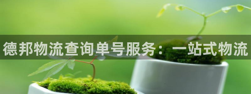 旺财28玩法:德邦物流查询单号服务: