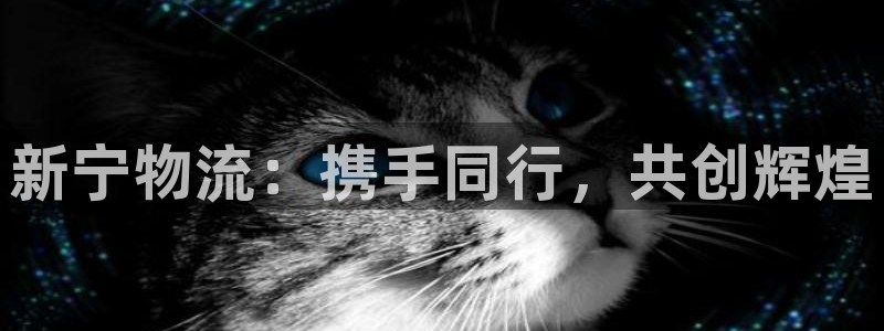 旺财28南宫娱乐官网：新宁物流：携手