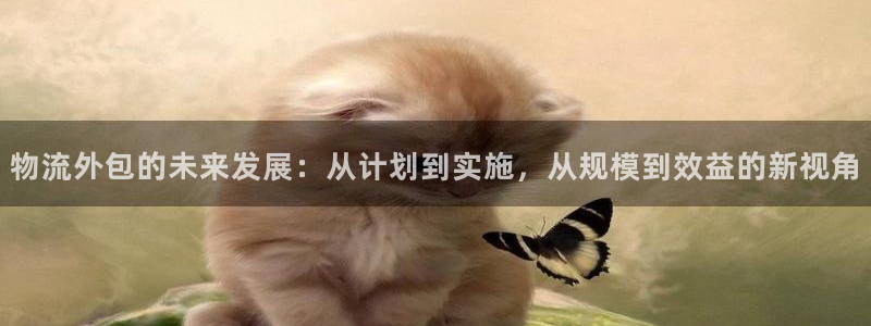 南宫旺财28官网版：物流外包的未来发