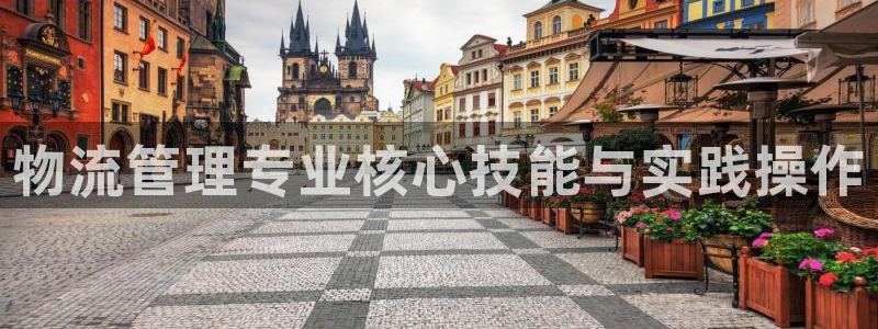 旺财28是什么是赌博吗?：物流管理专