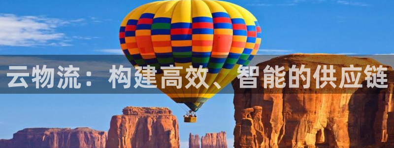 旺财28哪个最赚钱：云物流：构建高效