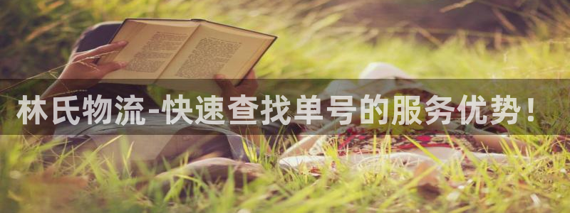 旺财28充值：林氏物流-快速查找单号