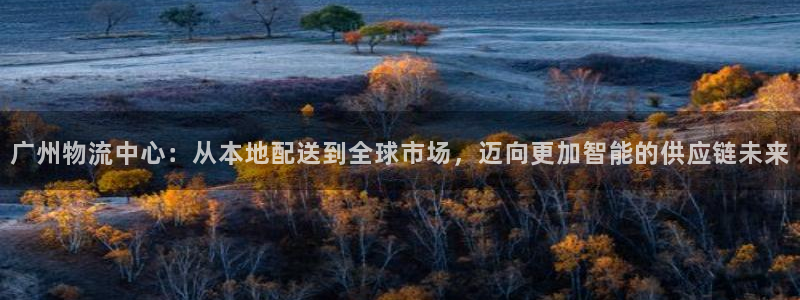 旺财28怎么注册游戏名字：广州物流中