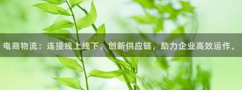 旺财28反水什么时候到：电商物流：连接线上线下，创新供应链，