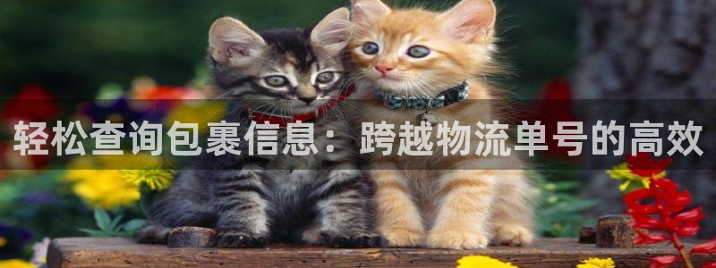 旺财28推广链接是多少:轻松查询包裹