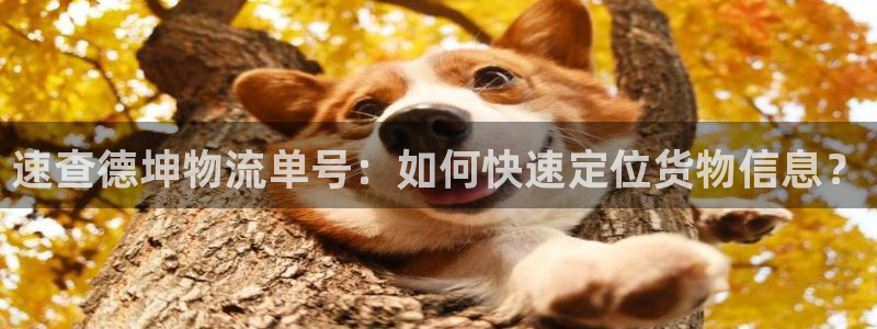 旺财28机器人是什么软件