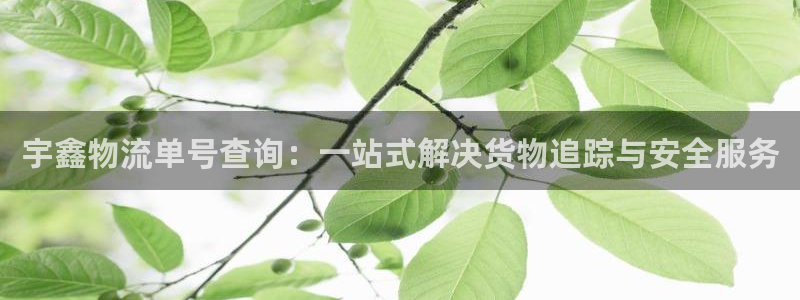 旺财28注册登录：宇鑫物流单号查询：