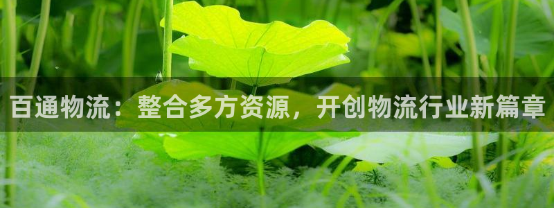 旺财28哪个最赚钱：百通物流：整合多