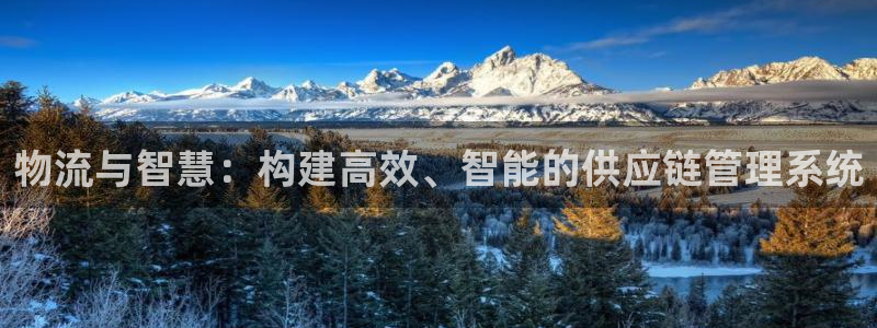 旺财28官网下载链接：物流与智慧：构建高效、智能的供应链管理