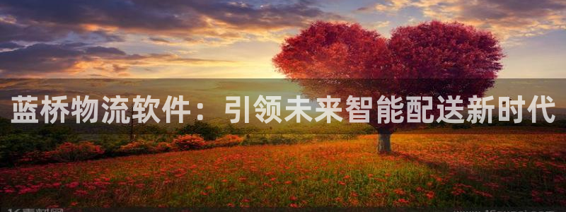 旺财28客服电话：蓝桥物流软件：引领未来智能配送新时代