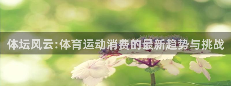球速体育：体坛风云:体育运动消费的最新趋势与挑战