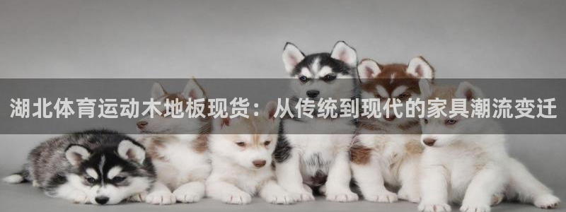 球速体育：湖北体育运动木地板现货：从传统到现代的家具潮流变迁