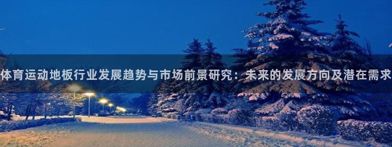 球速体育：体育运动地板行业发展趋势与市场前景研究：未来的发展方向及潜在需求