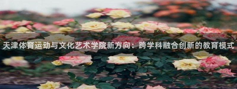 球速体育：天津体育运动与文化艺术学院新方向：跨学科融合创新的教育模式