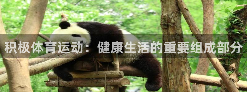 球速体育：积极体育运动：健康生活的重要组成部分