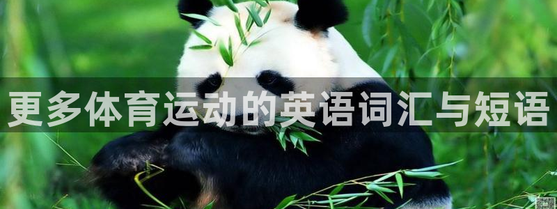 球速体育：更多体育运动的英语词汇与短语