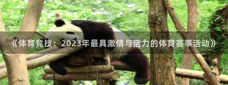 球速体育：《体育竞技：2023年最具激情与活力的体育赛事活动》