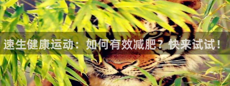 球速体育：速生健康运动：如何有效减肥？快来试试！